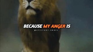 Lion is king of Jungle ❤️