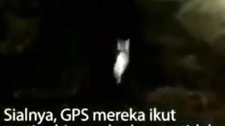 Kocheng Sang Penyelamat Orang yang Tersesat