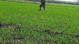 Agriculture