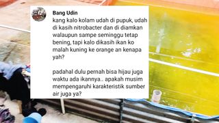 Apakah kondisi cuaca mempengaruhi karakteristik air didaerah tertentu❓