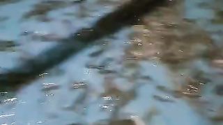 Penyakit ikan lele dimusim hujan❗Penyakit apakah ini❓