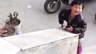 Puppy dog is playing with his owner