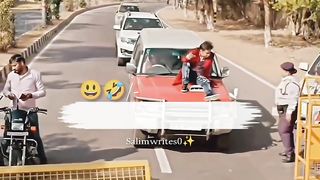 funny seat belt