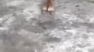Wow_#shorts(480p).