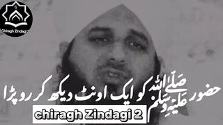 Hazoor ﷺ or Aik Oont ka Waqia by Peer Muhammad Ajmal Raza Qadri || Emotional Bayan