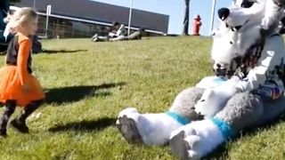 BEST Furry TikToks compilation 0737 #shorts #furrytiktok #furry  #funnyvideo  #youtube   #furries
