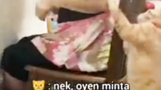 Kocheng Oyen Kocak Ganggu Nenek