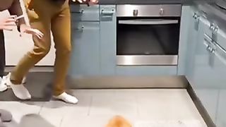 Funny video