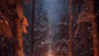 Winter Evening