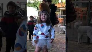 Toddler Puts Chicken on Her Head at Petting Farm