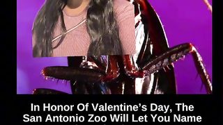 How to get rid of your ex in your mind????