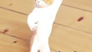 Dancing cat