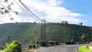 Pemandangan yang sejuk di kampung halaman