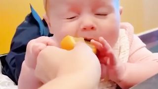 Baby eating lemon