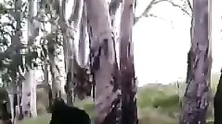 Badan Kecil nyali Dinosaurus