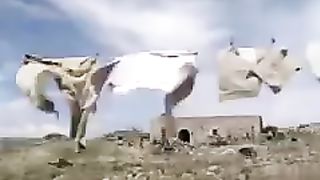 Keluarga Hebat