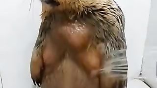 capybara taking a shower