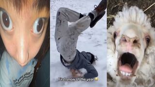 UNUSUAL Memes PART 57. Best Funny Videos Compilation 2024. TRY NOT TO LA