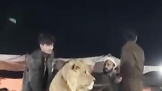 Best Pakistani election video