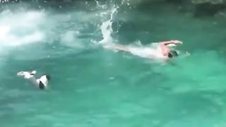 Ridiculous Incident vol 308