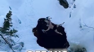 He_Broke_The_World_Record...????(720p).