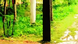 #গ্রামেরদৃশ্য#village scene#