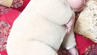 Chó con đáng yêu