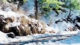 Heavy Snowfall in Dunga Gali Murree