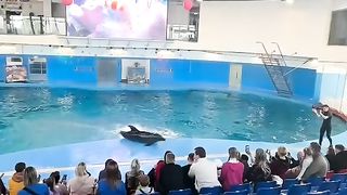 Amazing video