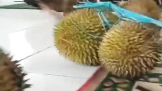 duren mantap