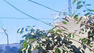 Good morning I hope you had