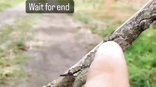 Amazing nature