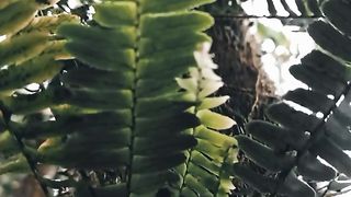 Natural beauty