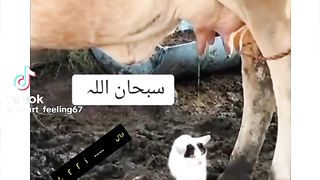 Allah ke quadrat Allah ke makhluk
