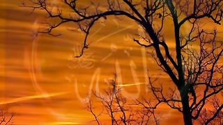 Quran telawat how to in Quran recitation