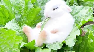 So cute