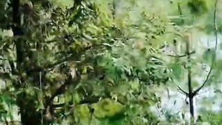 Azad Kashmir Snowfall on Mountain View