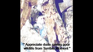 Appreciate dude saving poor wildlife from terrible moment