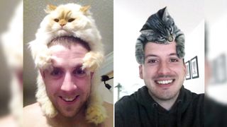 Cat With Their Owners