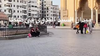 السيد البدوى