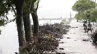Banjir sd karanganyar 2 demak