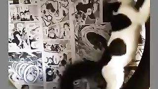 Begini Jadinya Kitten Dititipin ke Kocheng Jantan