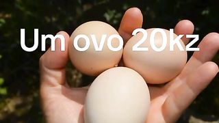 68f7d3e23dd5f308af376bfe58b56579.