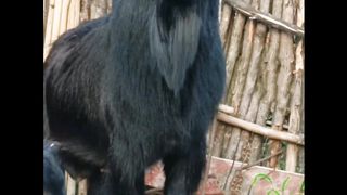 Nice amazing funny cute beautiful