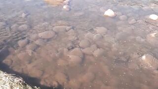 korang river bharakahu/Bani gala Islamabad #islamabad #bharakahu/SohailT22vlog