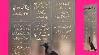 اسلامی معلومات Like share follow
