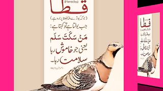 اسلامی معلومات Like share follow