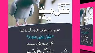 اسلامی معلومات Like share follow