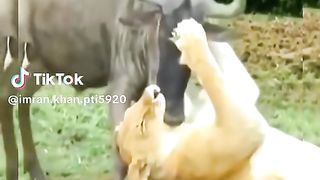 Funny ????????