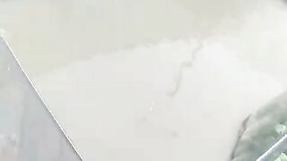 Kalian budidaya lele DIJARING komen ya❗Apa suka dukanya budidaya lele dijaring❓